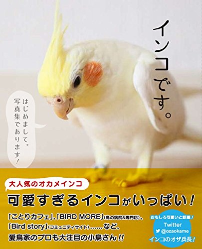 無料電子書籍 アプリ インコです。 バイ