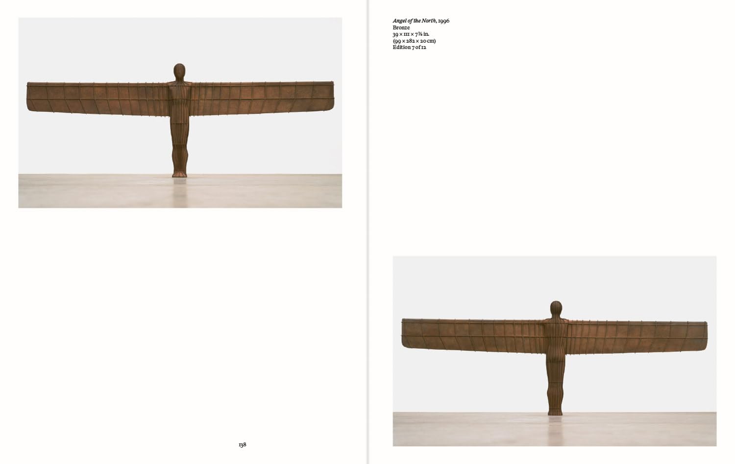 Antony Gormley: Survey