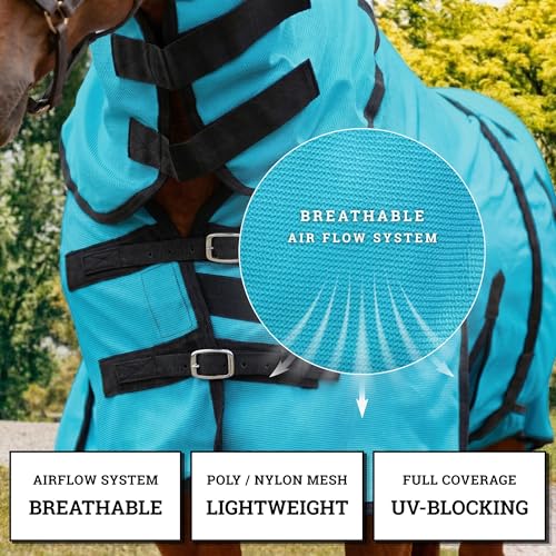 Image of Horse Fly Sheet with Attached Neck Cover & Tail Flap | UV Protection Mesh Horse Blanket, Full Body Bug & Sun Shield, Buckles, Belly Wrap & Gussets for Spring Summer Riding Rug (Teal, 74 inch)
