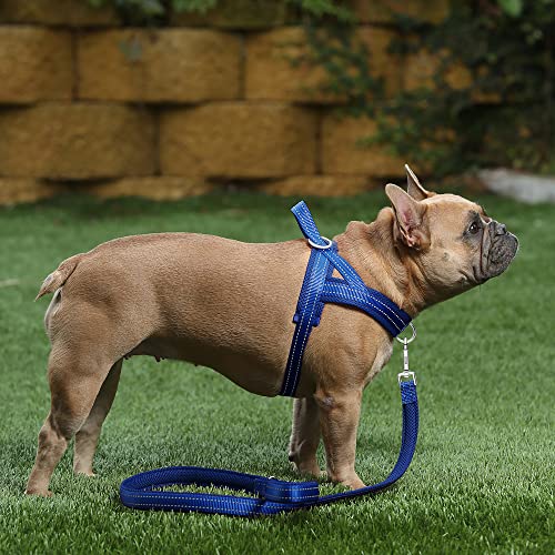 Image of Plutus Pet No Pull Dog Harness for Medium Sized Dog, Breathable Mesh Padded