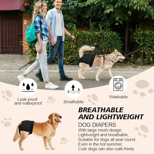 GIDWRIY 2 Pack LäUfigkeitshose für HüNdinnen M,Schutzhose Hündin Mit 6 Damenbinden,Hundehosen Bei Läufigkeit,Schutzhöschen Hunde Periodenhöschen,Höschen Hund Läufigkeit,Waschbare Hundewindeln