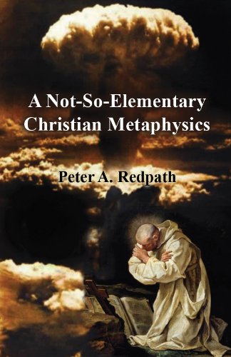 A Not-So-Elementary Christian Metaphysics 0979238080 Book Cover