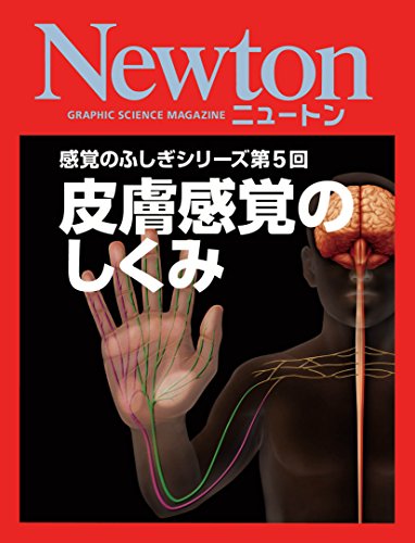 感覚のふしぎシリーズ第5回　皮膚感覚のしくみ