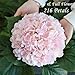 JINWOE Pink Flowers Silk Artificial Hydrangeas, 4Pcs 22