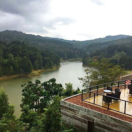 Bendecido y Afortunado - La Medida del Exito