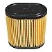Tecumseh 36905 Air Filter