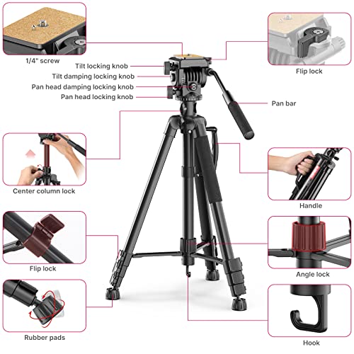 Image of ULANZI VT-02 Metal Camera Tripod | Heavy Duty, Portable & Adjustable Stand for DSLR, Smartphone & Vlogging | Strong, Compact & Travel-Friendly