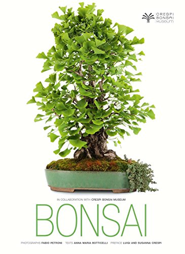 White Star Bonsai