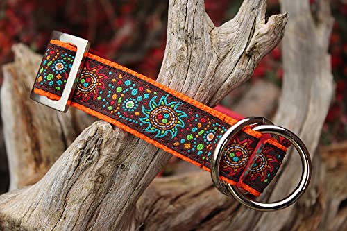 Halsband Hund - Hundehalsband aus Leder Farbenfroh Zugstopp, selbst gestalten