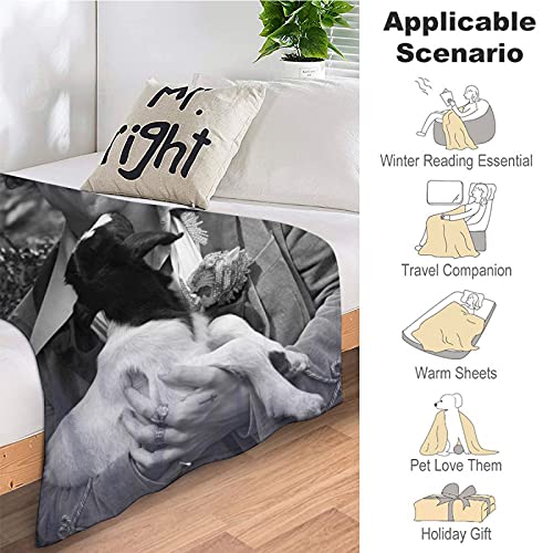 Harry Styles Deken Soft Touch, Anti-pilling luxe, comfort Geschikt voor bed, bank, camping voor kinderen en volwassenen - Image 7