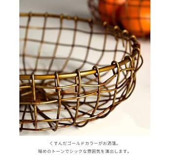 Amazon.co.jp: [スーツケースカンパニー]GPT ワイヤーバスケット