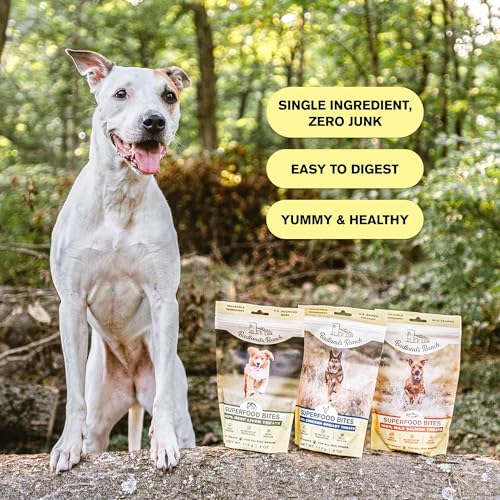 Badlands Ranch By Katherine Heigl- Superfood Bite, Freeze-Dried Raw Dog Treats - Protein Rich, Train & Reward, Traceable Single Ingredient thumb #5