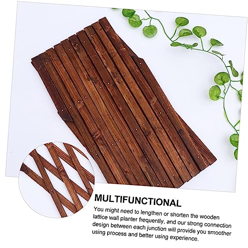 Treillis de jardin extensible support plantes grimpantes et concombres marron