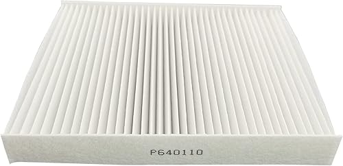 Filtro de aire de cabina apto para International HV507 HV607 LT625 MV607 Kenworth T680 T700 T880 Peterbilt 567 579 Reemplazar P640110 X1987001