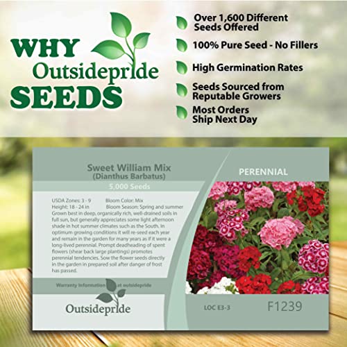 Outsidepride Perennial Dianthus Barbatus Sweet William Wild Flower Mix - 5000 Seeds #TOP4