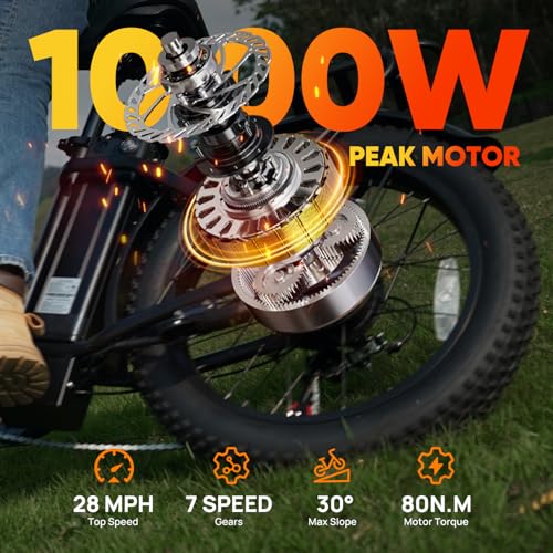 URLIFE 20″*3.0 Fat Tire Electric Bike for Adults, 28MPH 48V,