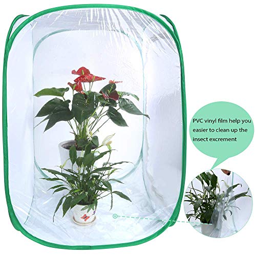 Habitat Insectes Et Papillons LUTER Cage Pliable 30x35cm - Filet Mailles Pour Élevage Chenilles Et Observation