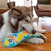 Outward Hound Tough Skinz Durable Squeaky Dog Toy with Two Tough Layers, Snake, Blue, Large