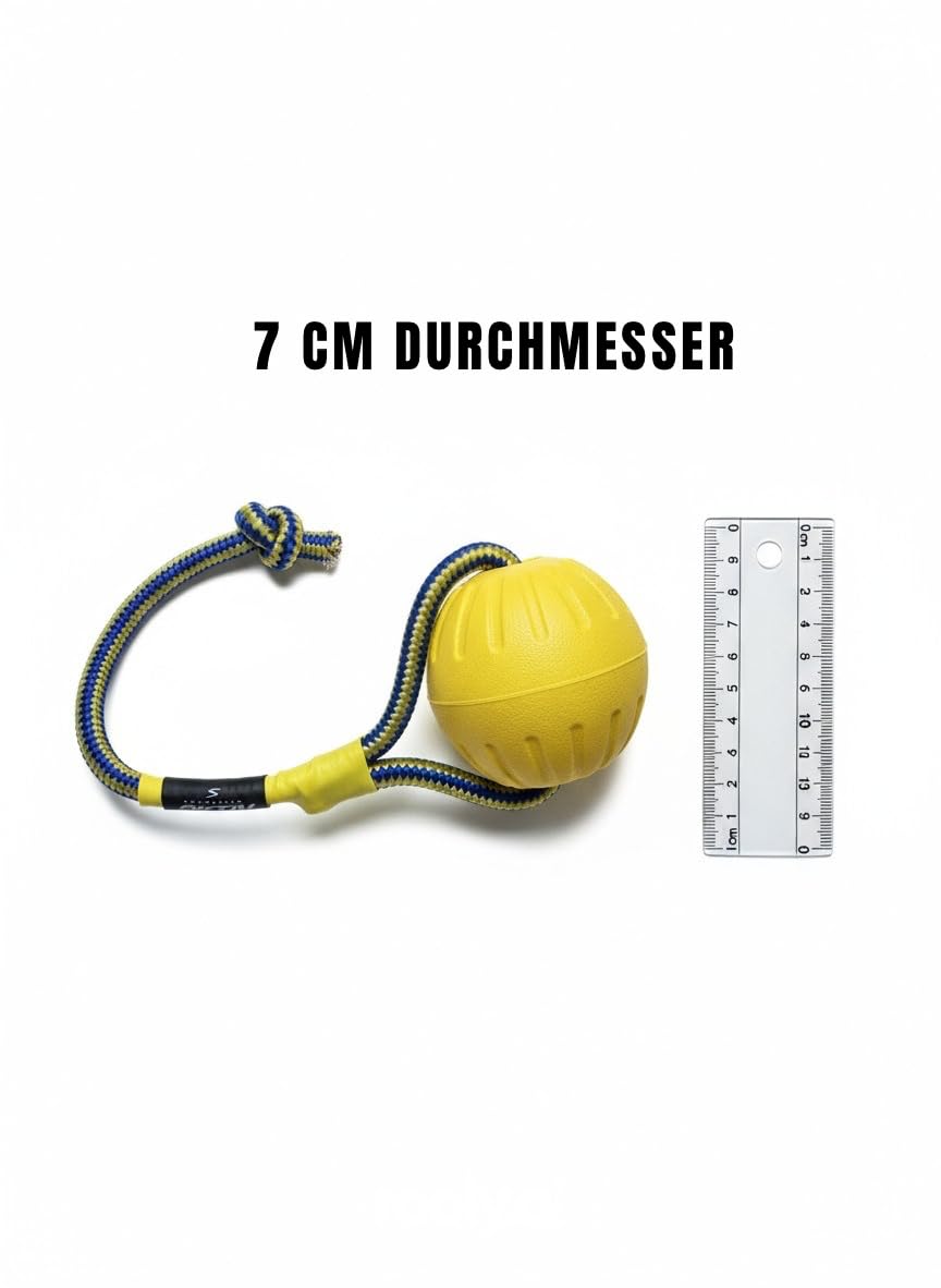 Hundeball – Robustes Hundespielzeug für Hunde | wasserfest, schwimmfähig & bissfest | ideal zum Apportieren & Spielen | in 1 Stück, 3er-Set oder 10er-Sparset erhältlich (10er-Sparset)