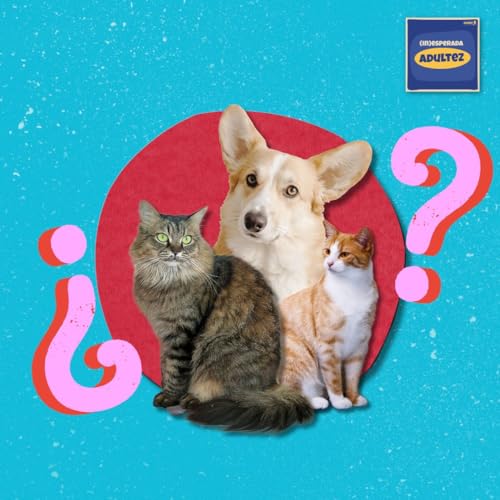 Qu&eacute; necesitas para adoptar a tu mascota ideal