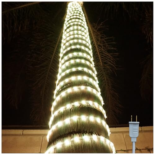 ElectricArt 36 Inch Cool White and Warm White LED Rope Light Snowflake Motif