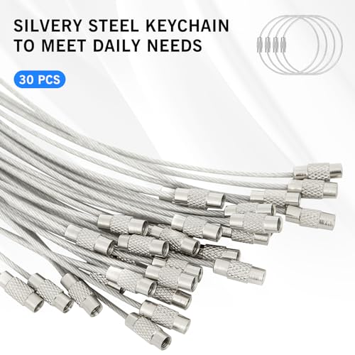DFTOA-30 Pack 6 inch Extendable Wire Keychain Cable/Luggage Tags/Loops Holder/ID Tag Keeper, Silver Cable Key Ring2