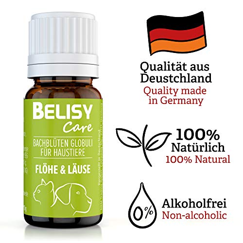 BELISY Läuse & Flöhe Bachblüten Kügelchen für Hunde & Katzen - Bei Läusen & Flöhen - Spezial Bachblütenmischung - alkoholfrei - 10 g