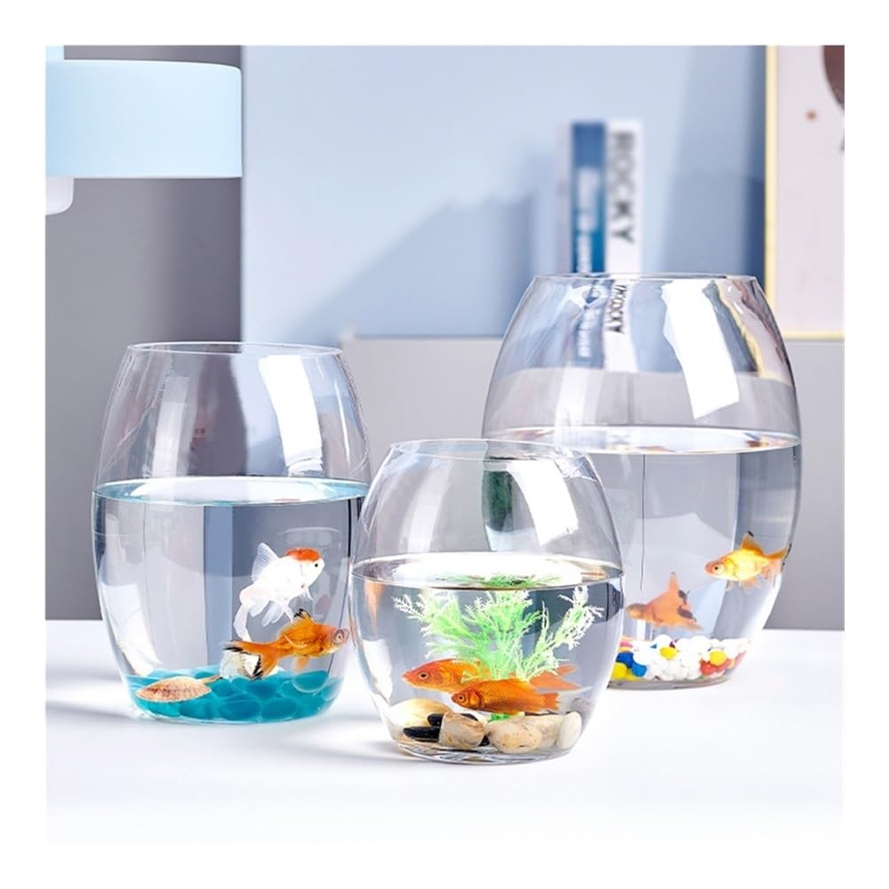 Acquario Acquario piccolo in vetro trasparente spesso ovale for ufficio domestico, scrivania multiuso(M)