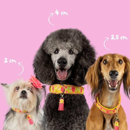 Dog with a Mission - Hundehalsband L | Lotus | Leder Rosa, blau, gelb | Hübsch, Boho, Hippie | Große Hunde | Handgemacht | Modisch und Bunt | Aus weichem Echtes Leder | Luxe | 2,5 cm Breit