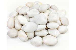 20lbs Large Flat Rocks for Landscaping