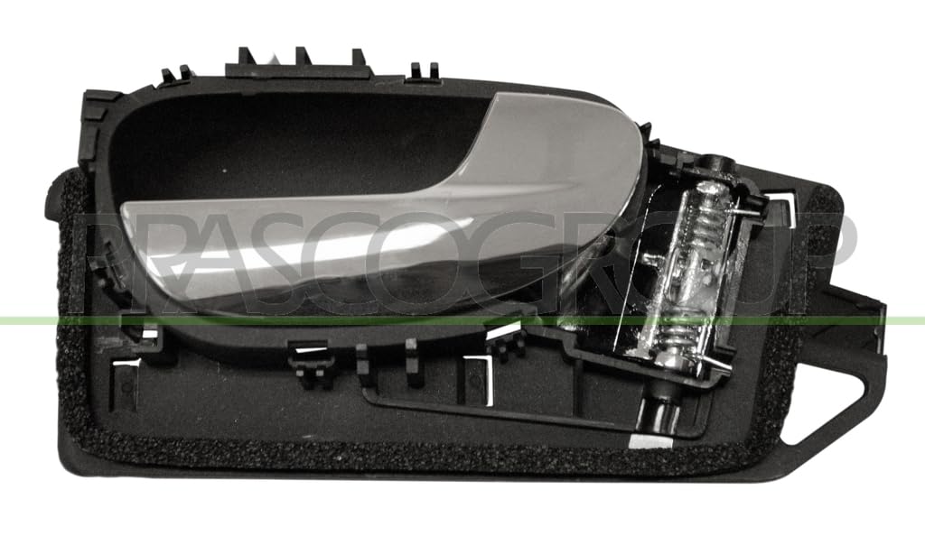 Prasco Türgriff, Innenausstattung Pg4208501 Hinten Rechts Für Peugeot