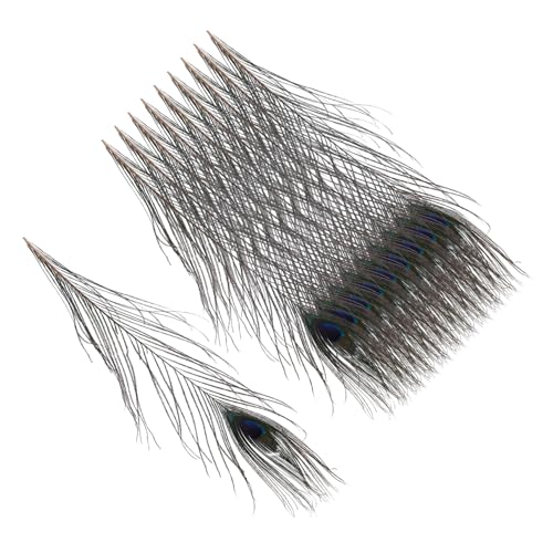 Plumas de pavo real naturales para decoración del hogar y manualidades DIY, 10 unidades