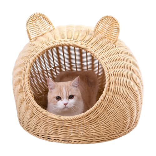 L xbh ėp ˂   LbgnEX ^ hhJr 􂦂 }bgt (45×33×25cm 6.5kgΉ)