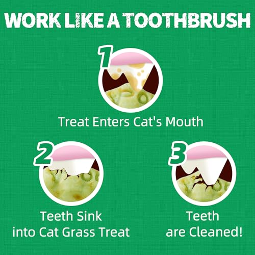 Just-Try-134-OZ-Cat-Catnip-Treats-with-Green-Tea-Seaweed-Healthy-Cat-Breath-Freshener-Treats-Training-Biscuits-and-Dental-Care-Natural-Salmon-Flavor