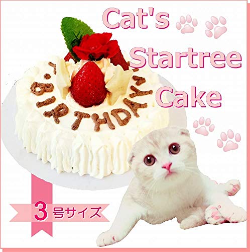 猫用ケーキの人気おすすめランキング5選【レシピもご紹介 