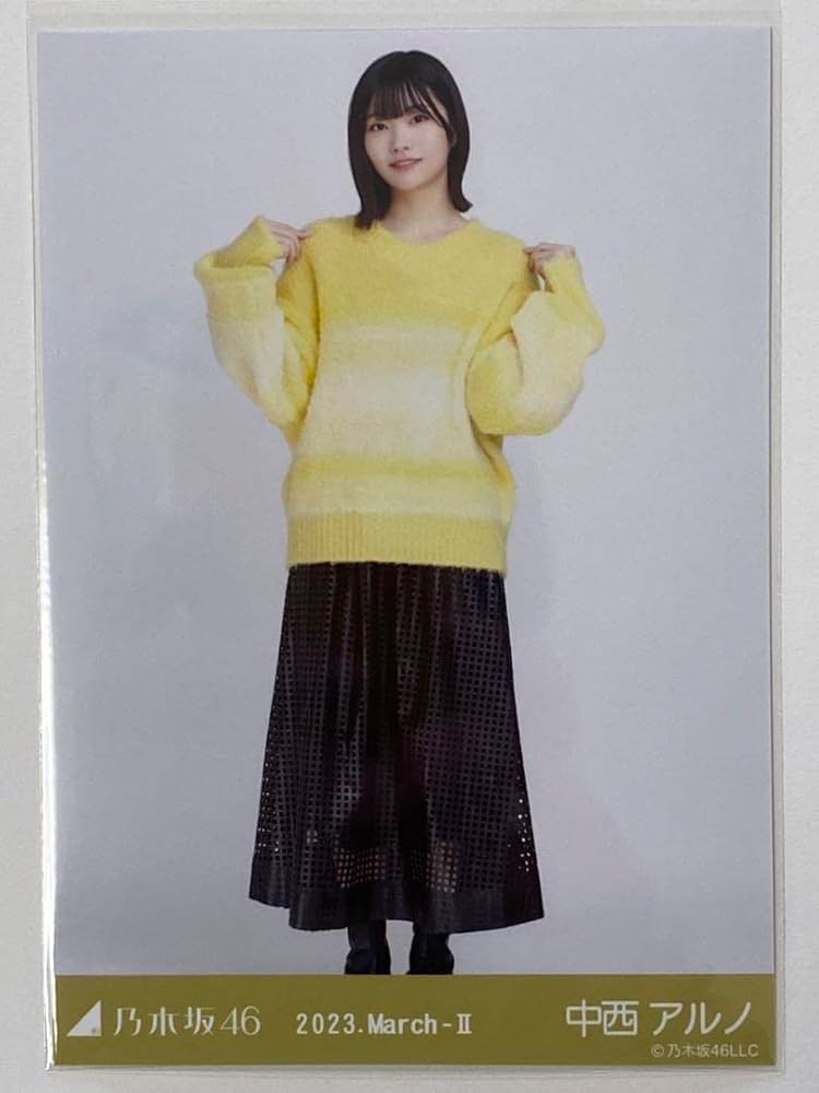 Amazon.co.jp: 乃木坂46 ランダム生写真 ファーニット ビッグ