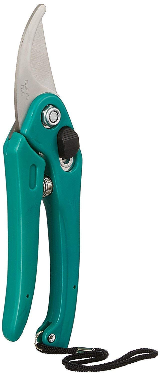 Kenware Gardening Plant Cutter | Garden Pruner | Garden Scissors | Garden Shear | Heavy Duty Gardening Tool for Plant Branch Cutter (B08WKFP6T8) Amazon Price History, Amazon Price Tracker