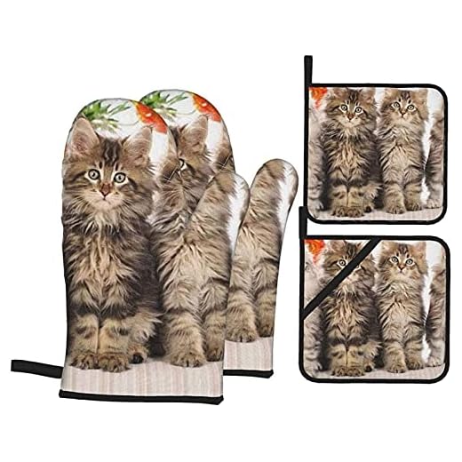Maine Coon kattungar ugnsvantar och grythållare, set med 4 köksset, värmebeständiga bakhandskar för matlagning BBQ