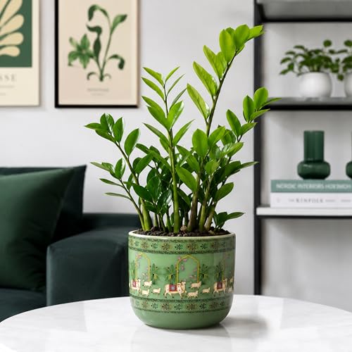 Image of Urban Plant Green Mahal 3D Handcrafted Terracotta Planter | Hand Painted Indian Art | Indoor Clay Pot for Living Room | Artisan Decorative Flower Pot | Drainage Hole | 4.5 Inch