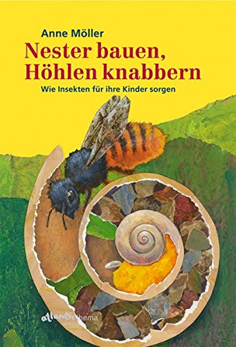 Nester bauen, Höhlen knabbern: Wie Insekten für ihre Kinder sorgen Nester bauen, Höhlen knabbern: Wie Insekten für ihre Kinder sorgen