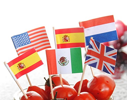 National Flag Picks Flag Toothpicks Cocktail Sticks Cupcake Toppers, Random Country, 100 Count #TOP1