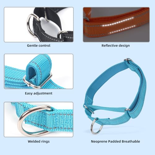 SGODA Martingale Dog Collar, Reflective Nylon Padded Dog Training Collars for Medium Dogs, Pink M