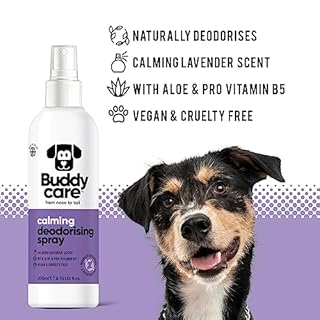 Buddycare Spray Deodorante per Cani - Spray Deodorante Calmante per Cani - Con Aloe Vera e Pro Vitamina B5, Lavanda, 200 ml (confezione da 1)