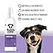 Buddycare Hunde-Desodorierungsspray – Lavendel – Beruhigendes Desodorierungsspray für Hunde – mit Aloe Vera und Pro-Vitamin B5 (200 ml, 1 Stück)