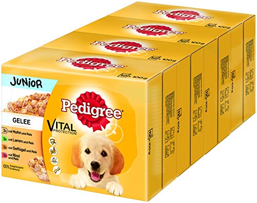 Pedigree Hundefutter Nassfutter Junior für Welpen Auswahl in Gelee, 12 Portionsbeutel (12 x 100g)