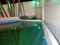 Review Image by James Bradley