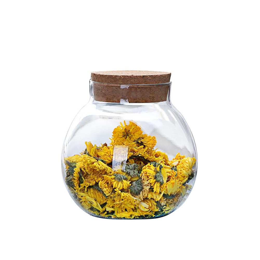 VASANA Tarro de vidrio transparente redondo hermético de 500 ml con tapas de corcho, contenedor de té, jarrón, botella ecológica, recipientes de almacenamiento de alimentos para el hogar y la cocina