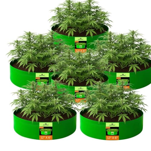 Image of Kingwell grow bags 12x6 inch pack of 6 Grow Bag For Terrace Garden Leafy Vegetable Plant Grow Bags Fruits Growing Containers For terrace Gardening