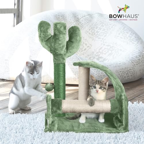 BOWHAUS Cactus Cat Tower 20-Inch para gatos miniatura 7
