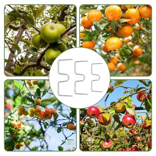 FUYTSUO 30 Stück Metall M Förmiger Astspreizer, Astklammern für Obstbäume, Astspreizer für Obstbäume, für Die Erweiterung und Anpassung Von Obstbaumzweigen, Wiederverwendbar (M-Design)